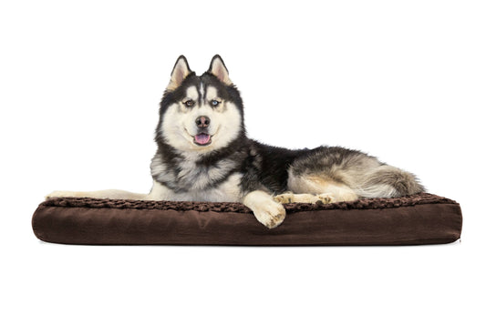 FurHaven Ultra Plush Deluxe Memory Foam Pet Bed - Chocolate - Jumbo