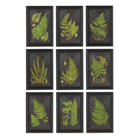 Framed Fern Botanical Prints, Set of 9 (Black/Green)