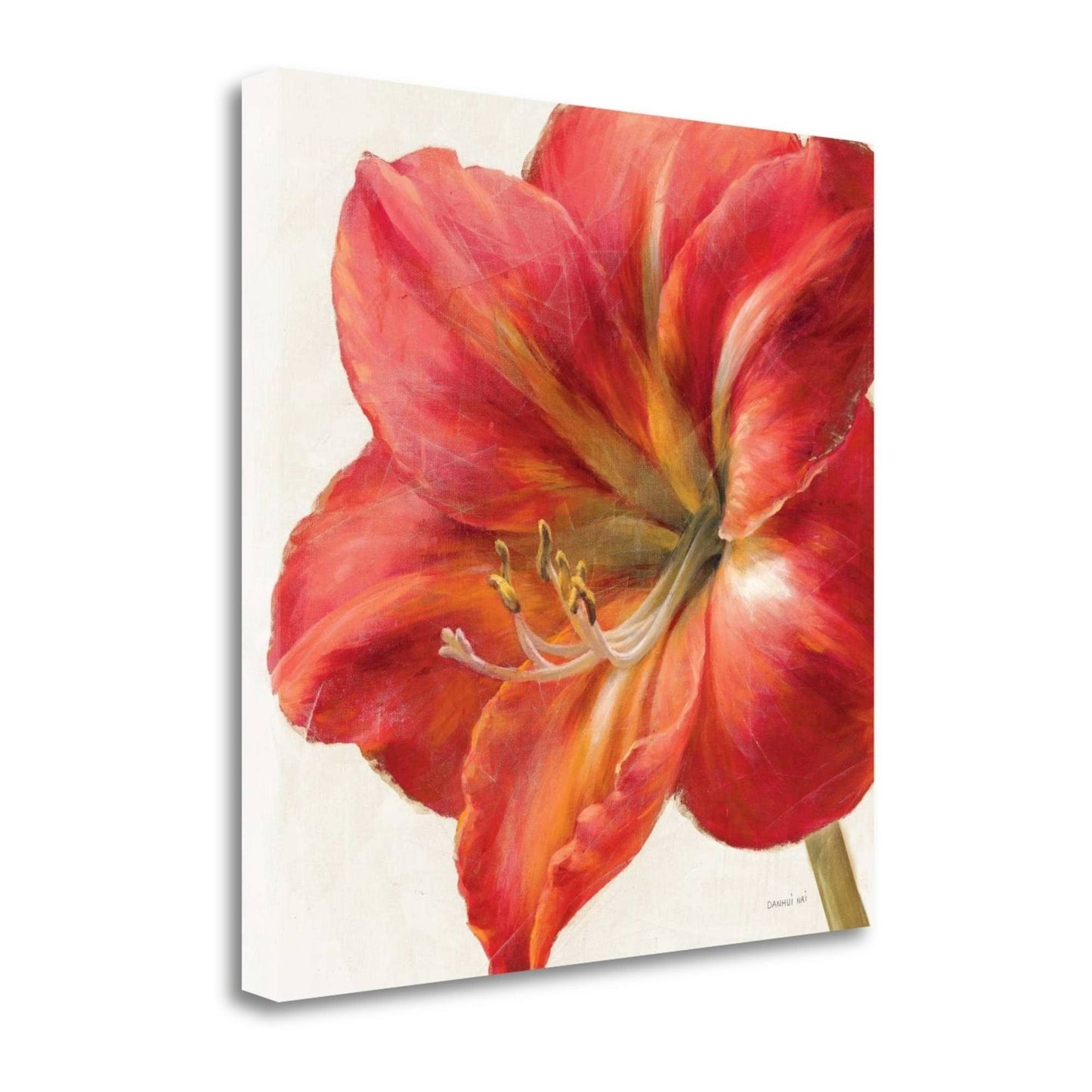 25 x 25 Vivid Amaryllis by Danhui Nai Fine Art Giclee Print