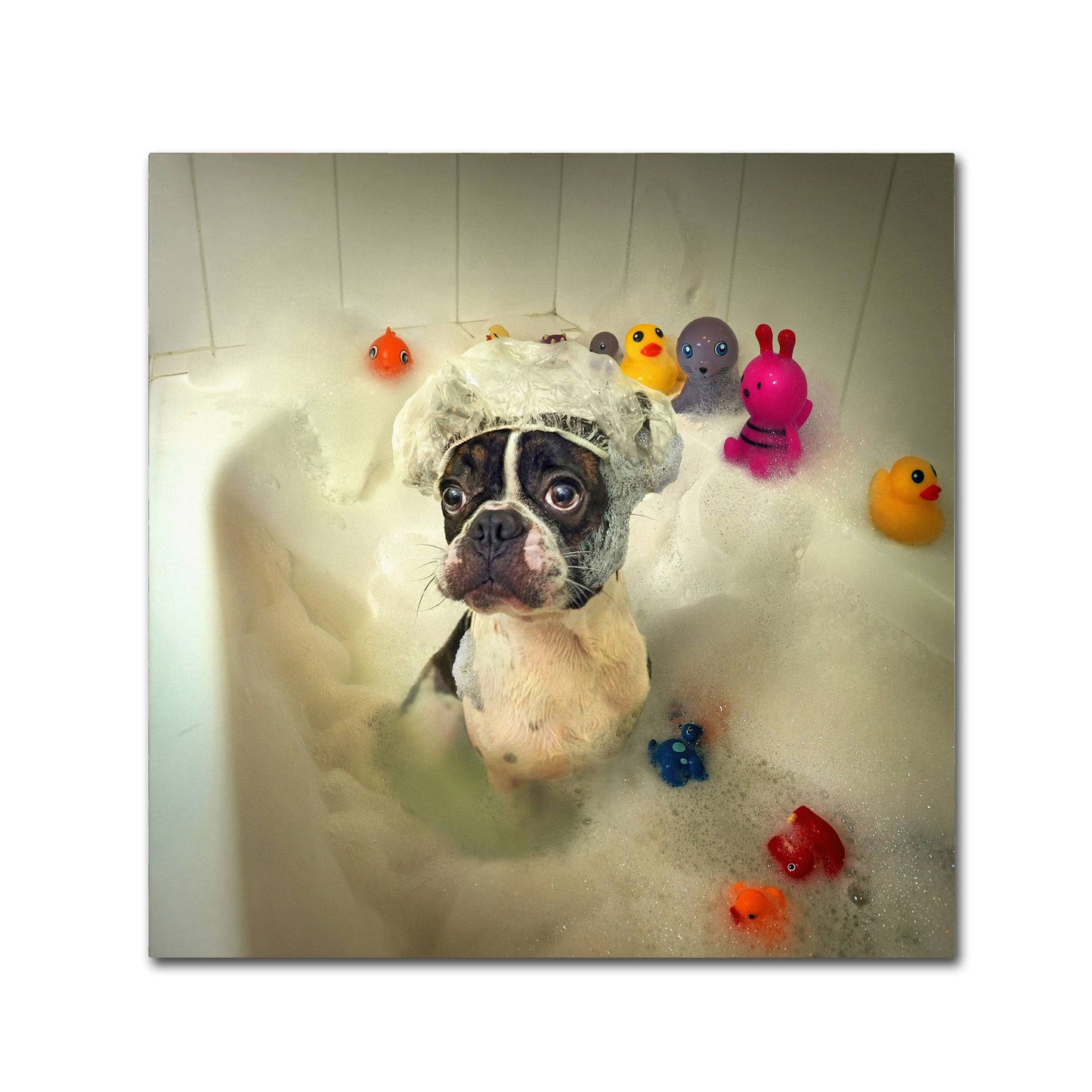 Trademark Fine Art The Bath Canvas Art by Ddiarte