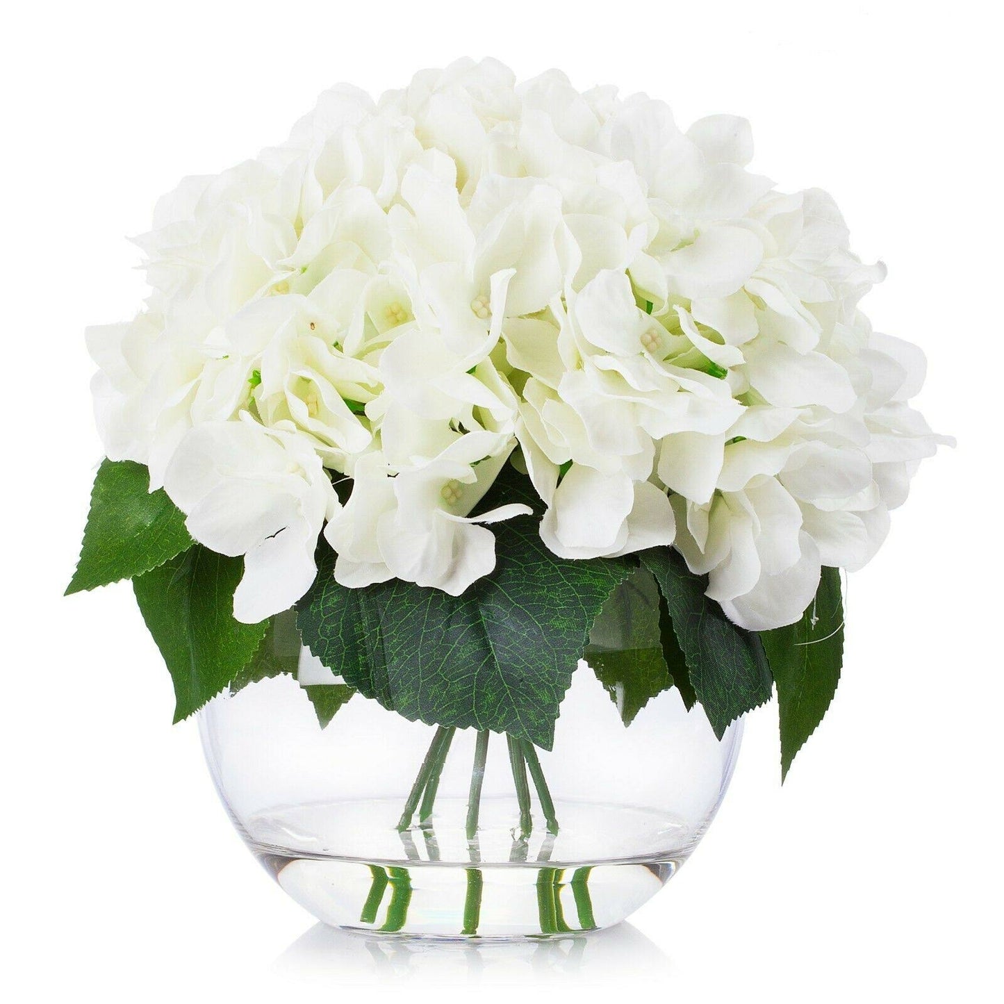 Enova Home Cream Hydrangea Flower Arrangement in Clear Glass Vase with Faux Water for Home Decoration