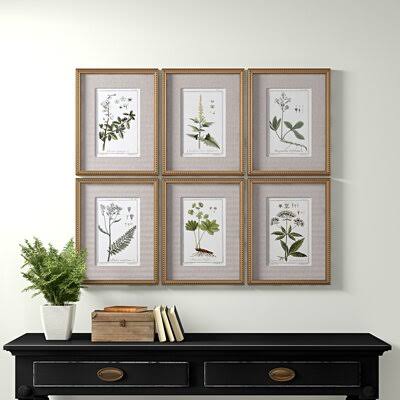 Botanical Sketches Picture Frame Graphic Art Set