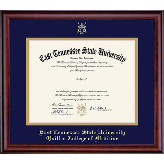 Framing Success | Virginia State University 14 x 17 Classic Diploma Frame | Gold