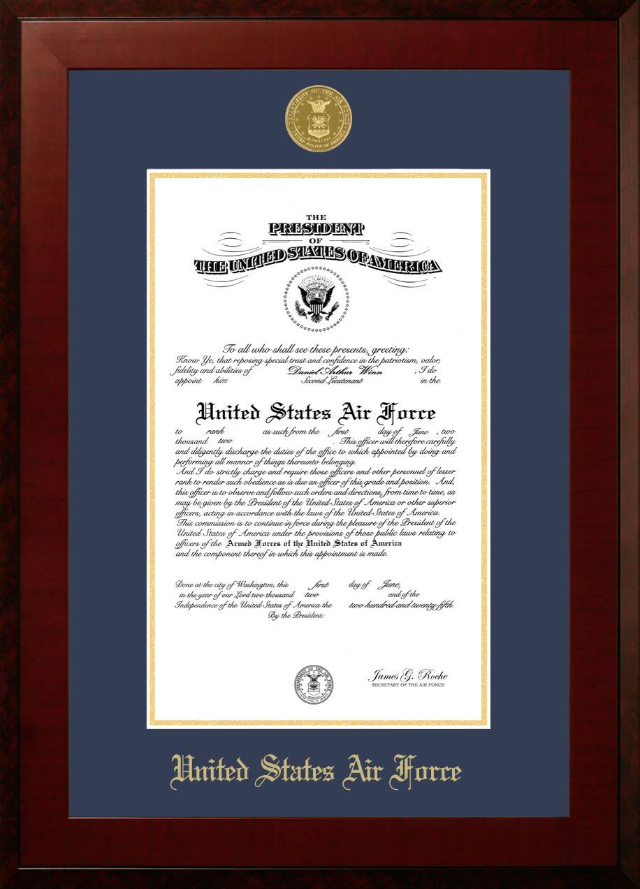 Patriot Frames Air Force 10x14 Certificate Honors Frame with Gold Medallion AFCHO001