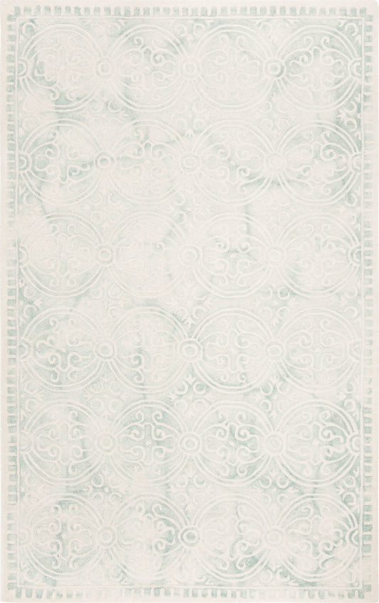 Safavieh Dip Dye DDY211J 23 x 80 Runner Light Green / Ivory Area Rug