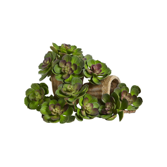 Nearly Natural Set of 12 5 Echeveria Succulent Plant - Green