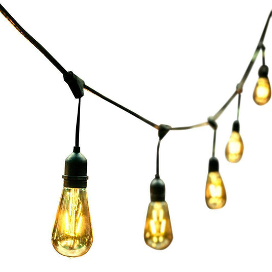 Ove Decors All Season LED String Light with 24 Oversized Edison Light Bulbs, 48