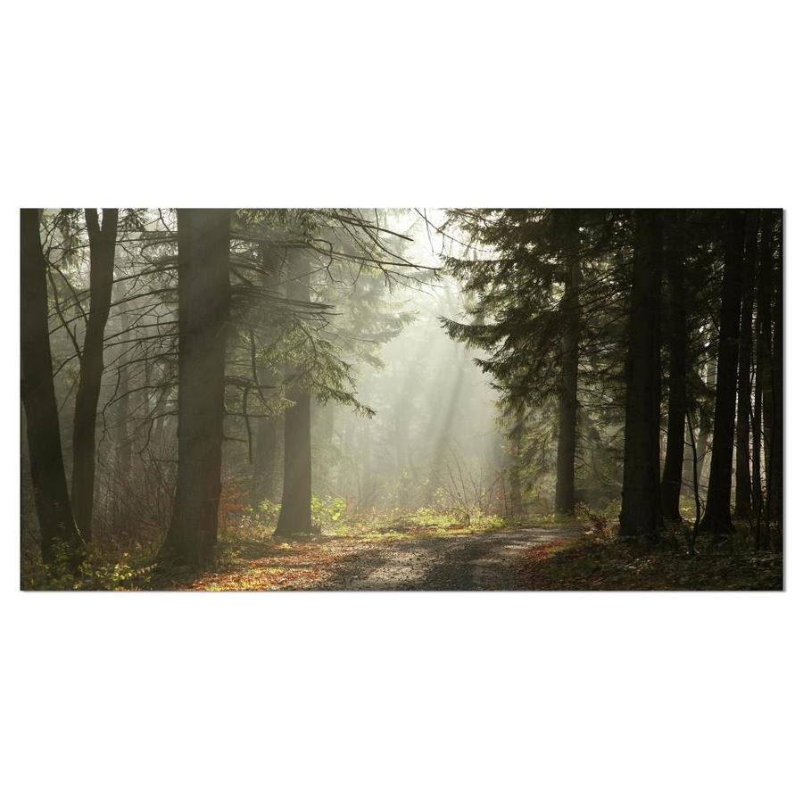 Design Art Dark Green Forest with Sun Rays Photographic Print on Wrapped Canvas, Size 16 H x 32 W x 1 D