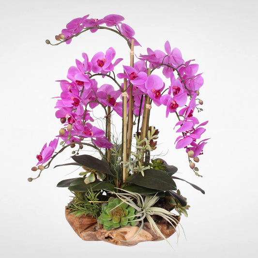 Real Touch 7-stems Phalaenopsis Silk Orchids with Succulents in Natural Wood Bowl